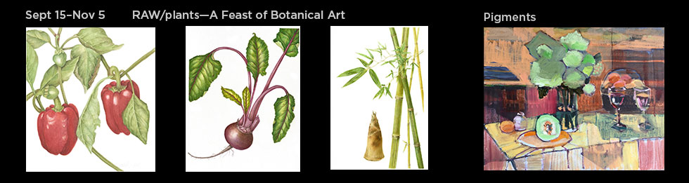 RAW/plants—A Botanical Feast